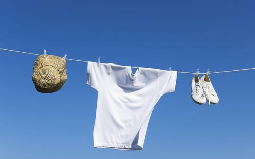 螨蟲的危害有哪些？教你如何趕走螨蟲