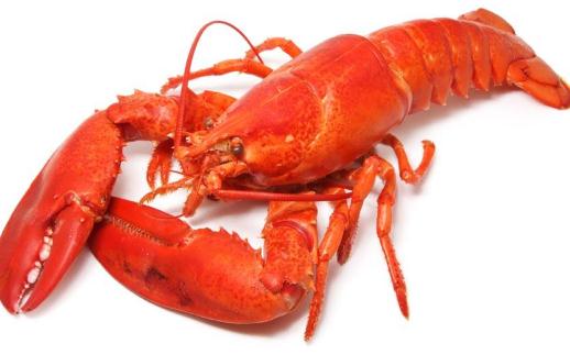 月經期可以吃龍蝦嗎 龍蝦怎么吃更好