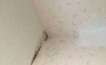 僅需這幾招 就再也不用為墻體發(fā)霉而煩惱了