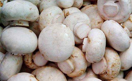 女性秋冬如何養(yǎng)陰 入秋女性進補九大忌