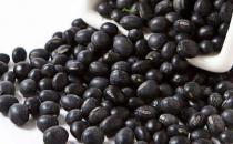 如何保養卵巢 40歲女性卵巢該怎么保養