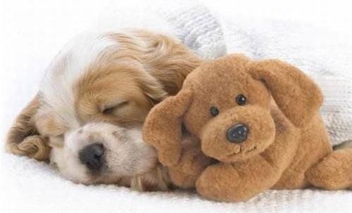 發作性睡病能自愈嗎?發作性睡病怎么治療