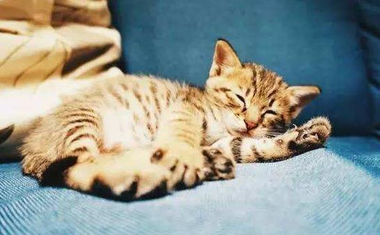 昏睡怎么辦?什么是昏睡癥