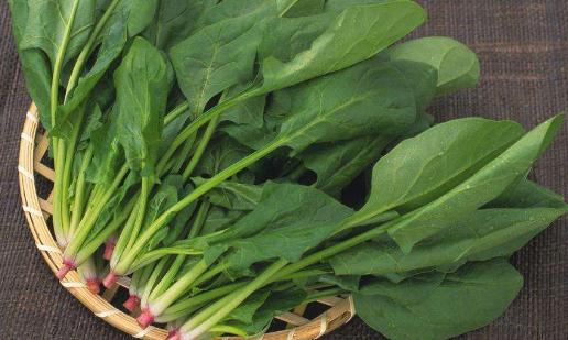 經期一定要補氣血 吃哪些食物補氣血