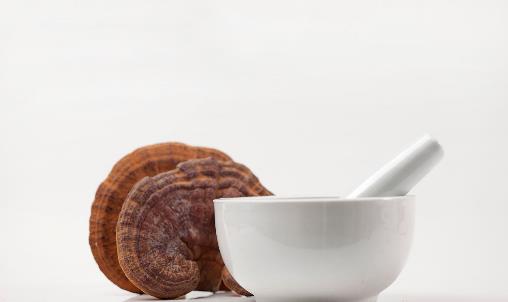 靈芝不能和什么同吃