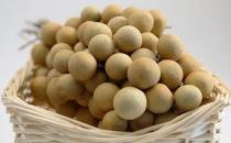 子宮肌瘤的食療方法 子宮肌瘤飲食注意事項(xiàng)