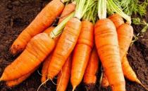 卵巢早衰如何調理 保養卵巢別犯5禁忌