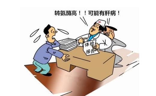 轉(zhuǎn)氨酶高會(huì)帶來(lái)什么危害