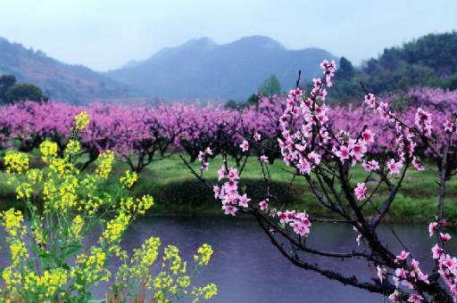 春季踏青要注意什么事項