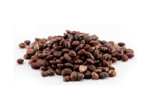 酸棗仁泡水喝竟有那么多功效!