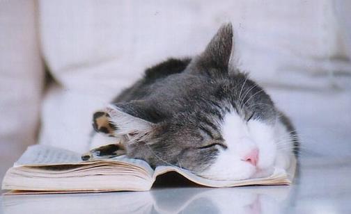 睡覺時(shí)別做這些傷身事!