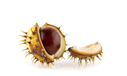 板栗到底是生吃好還是熟吃好