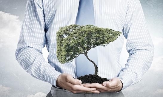 你需要這些護肝秘方!