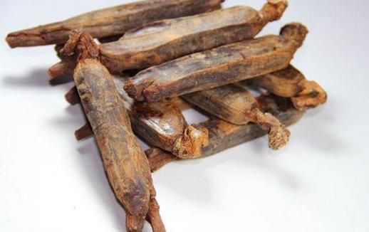 高麗參都有什么藥理作用