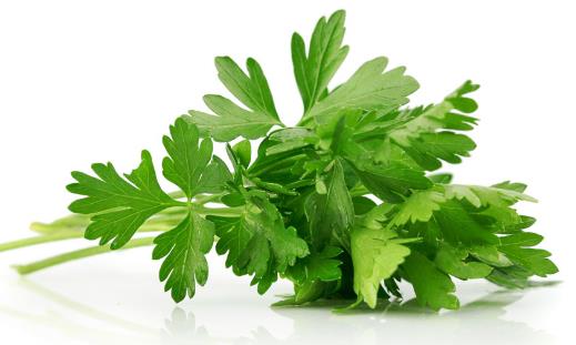 9種容易被丟掉的高營養(yǎng)食物