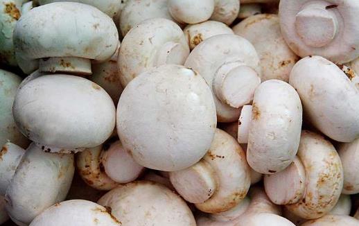 預防癌癥從飲食開始 教你用飲食抗擊八種癌癥