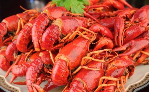 龍蝦雖營養 但4類人要望而卻步