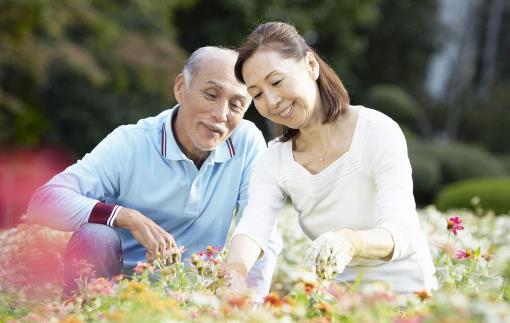 老人夏季養(yǎng)生需清淡飲食
