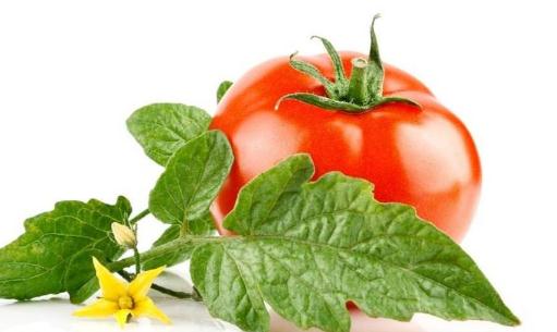 男人想不老就吃這些 不老補藥你知道嗎