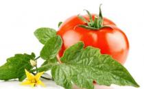 男人想不老就吃這些 不老補藥你知道嗎