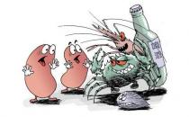 這些壞習慣會傷害你的腎！