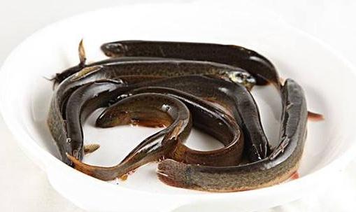 十大壯陽補(bǔ)腎益精食物 男人必吃