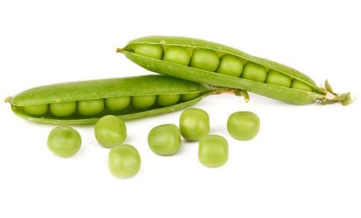 能保養卵巢的食物有哪些 7種食物要常吃