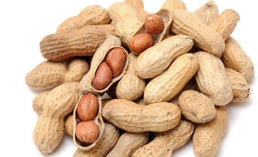 男性營養:有四種人不宜吃花生