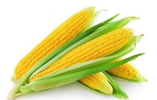 記憶力減退怎么辦 五種食物助你增強記憶力