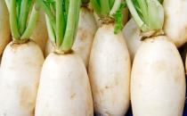 天寒地凍 御寒養生不妨多吃蘿卜