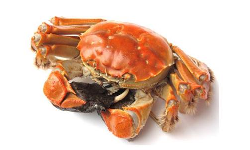 新產婦不要多吃螃蟹 容易加重寶寶濕疹