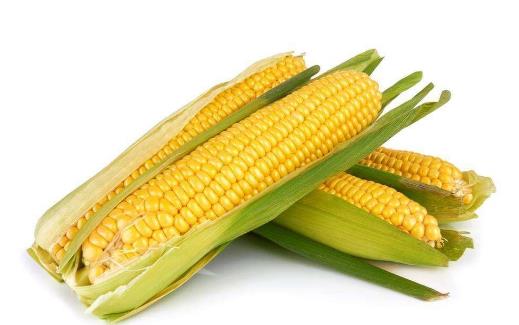 吃什么食物可以預(yù)防血管硬化