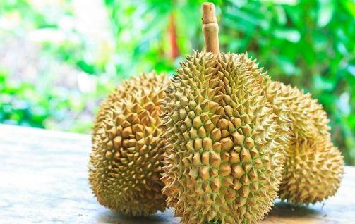 木瓜和榴蓮孕婦都不能吃