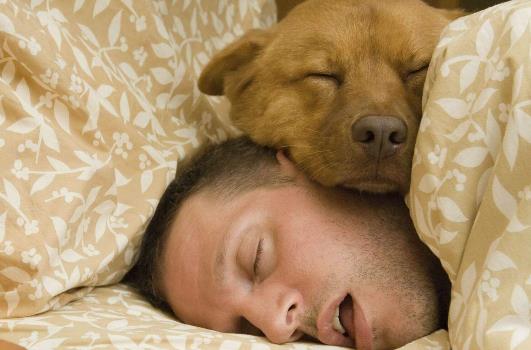 這樣睡讓你加速衰老！