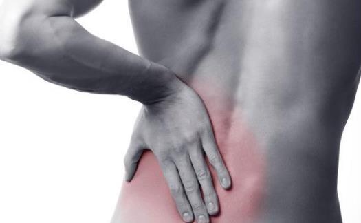 揭秘你不得不知的補腎誤區