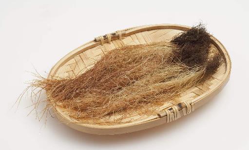 玉米須竟然能夠降血糖？