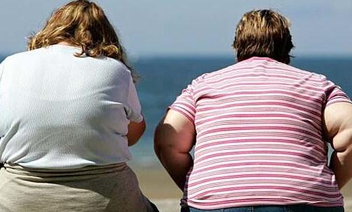 肥胖孕婦的飲食安排 西洋參燉雞湯有助養胎