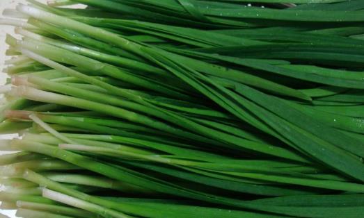 它稱為“洗腸草” 卻是男人上等補腎藥