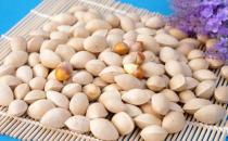 腎虛怎么辦，這幾種食物讓你壯陽補(bǔ)腎