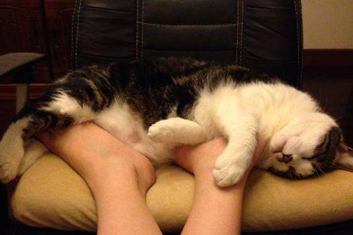 肝衰竭的癥狀有哪些呢