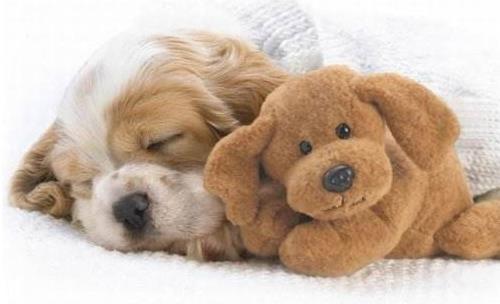 天冷睡覺感覺腳冷怎么辦