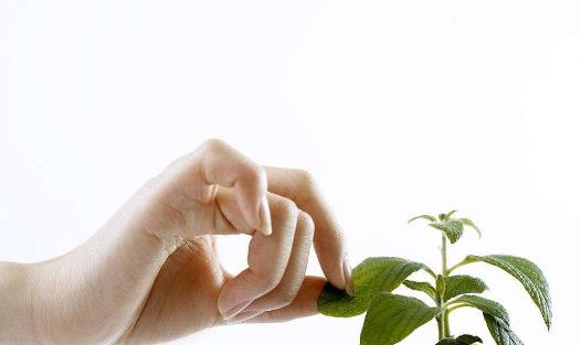 為啥體寒體質的人容易得癌癥