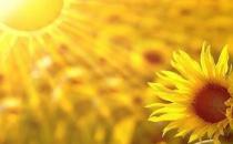 ?心思敏感的人該如何克服自己的心態