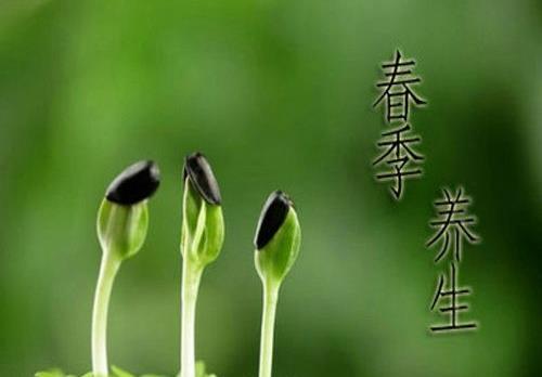 一年之計在于春,不得不知的春季養生常識