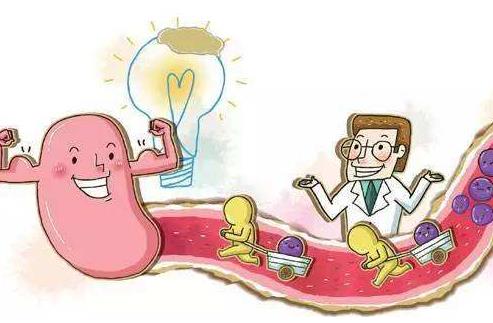 老年人生理機能下降易便秘 緩解老年人便秘食譜