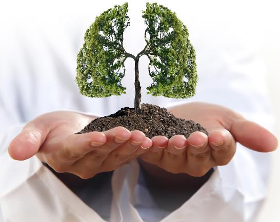 肺不好怎么養護 男人養肺方法及護肺飲食推薦