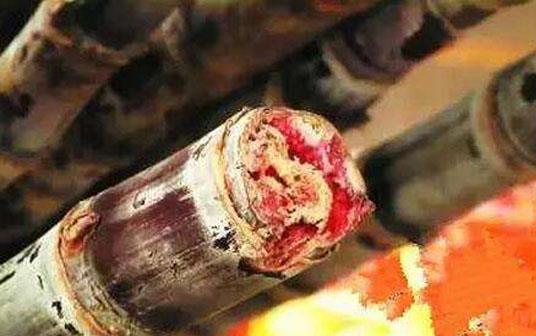 甘蔗的吃法 霉變發紅的甘蔗不能吃