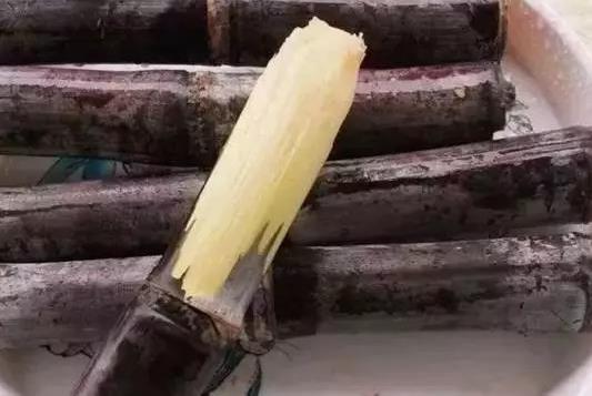 甘蔗的吃法 霉變發紅的甘蔗不能吃