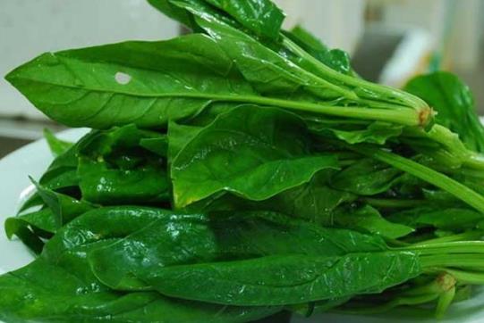 菠菜不能和什么一起吃？菠菜和韭菜炒著吃易腹瀉