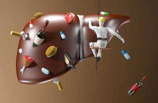 冬季養(yǎng)肝護(hù)肝進(jìn)補(bǔ)食物 日常養(yǎng)肝食譜及補(bǔ)肝飲食口訣